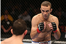 MINNEAPOLIS, MN - OCTOBER 05:  (R-L) Jacob Volkmann squares off with Shane Roller during their lightweight fight at the UFC on FX event at Target Center on October 5, 2012 in Minneapolis, Minnesota.  (Photo by Josh Hedges/Zuffa LLC/Zuffa LLC via Getty Images)