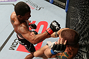 MINNEAPOLIS, MN - OCTOBER 05:  (L-R) Marcus LeVesseur punches Carlo Prater during their lightweight fight at the UFC on FX event at Target Center on October 5, 2012 in Minneapolis, Minnesota.  (Photo by Josh Hedges/Zuffa LLC/Zuffa LLC via Getty Images)