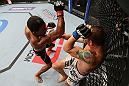 MINNEAPOLIS, MN - OCTOBER 05:  (L-R) Marcus LeVesseur punches Carlo Prater during their lightweight fight at the UFC on FX event at Target Center on October 5, 2012 in Minneapolis, Minnesota.  (Photo by Josh Hedges/Zuffa LLC/Zuffa LLC via Getty Images)