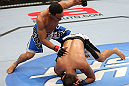 MINNEAPOLIS, MN - OCTOBER 05:  (L-R) John Dodson punches Jussier Formiga during their flyweight fight at the UFC on FX event at Target Center on October 5, 2012 in Minneapolis, Minnesota.  (Photo by Josh Hedges/Zuffa LLC/Zuffa LLC via Getty Images)