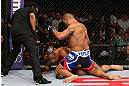 MINNEAPOLIS, MN - OCTOBER 05:  (R-L) Antonio Silva punches Travis Browne during their heavyweight fight at the UFC on FX event at Target Center on October 5, 2012 in Minneapolis, Minnesota.  (Photo by Josh Hedges/Zuffa LLC/Zuffa LLC via Getty Images)