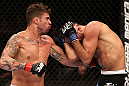 RIO DE JANEIRO, BRAZIL - OCTOBER 13:  (L-R) Cristiano Marcello punches Reza Madadi during their lightweight fight at UFC 153 inside HSBC Arena on October 13, 2012 in Rio de Janeiro, Brazil.  (Photo by Josh Hedges/Zuffa LLC/Zuffa LLC via Getty Images)