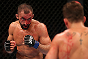 RIO DE JANEIRO, BRAZIL - OCTOBER 13:  (L-R) Reza Madadi squares off with Cristiano Marcello during their lightweight fight at UFC 153 inside HSBC Arena on October 13, 2012 in Rio de Janeiro, Brazil.  (Photo by Josh Hedges/Zuffa LLC/Zuffa LLC via Getty Images)
