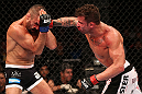 RIO DE JANEIRO, BRAZIL - OCTOBER 13:  (R-L) Cristiano Marcello punches Reza Madadi during their lightweight fight at UFC 153 inside HSBC Arena on October 13, 2012 in Rio de Janeiro, Brazil.  (Photo by Josh Hedges/Zuffa LLC/Zuffa LLC via Getty Images)