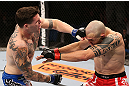 RIO DE JANEIRO, BRAZIL - OCTOBER 13:  (L-R) Chris Camozzi punches Luiz Cane during their middleweight fight at UFC 153 inside HSBC Arena on October 13, 2012 in Rio de Janeiro, Brazil.  (Photo by Josh Hedges/Zuffa LLC/Zuffa LLC via Getty Images)