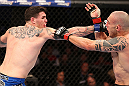 RIO DE JANEIRO, BRAZIL - OCTOBER 13:  (L-R) Chris Camozzi punches Luiz Cane during their middleweight fight at UFC 153 inside HSBC Arena on October 13, 2012 in Rio de Janeiro, Brazil.  (Photo by Josh Hedges/Zuffa LLC/Zuffa LLC via Getty Images)