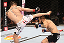 RIO DE JANEIRO, BRAZIL - OCTOBER 13:  (L-R) Rony "Jason" Mariano Bezerra kicks Sam Sicilia during their featherweight fight at UFC 153 inside HSBC Arena on October 13, 2012 in Rio de Janeiro, Brazil.  (Photo by Josh Hedges/Zuffa LLC/Zuffa LLC via Getty Images)