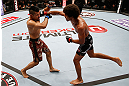 MACAU, MACAU - NOVEMBER 10: (R-L) Alex Caceres punches Motonobu Tezuka during their bantamweight bout at the UFC Macao event inside CotaiArena on November 10, 2012 in Macau, Macau. (Photo by Josh Hedges/Zuffa LLC/Zuffa LLC via Getty Images)