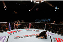 MACAU, MACAU - NOVEMBER 10: Cung Le (L) reacts after knocking out Rich Franklin during their middleweight bout at the UFC Macao event inside CotaiArena on November 10, 2012 in Macau, Macau. (Photo by Josh Hedges/Zuffa LLC/Zuffa LLC via Getty Images)
