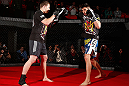 MONTREAL, CANADA - NOVEMBER 15:  Carlos Condit works out for media and fans during an open training session ahead of UFC 154 at New City Gas on November 15, 2012 in Montreal, Quebec, Canada.  (Photo by Josh Hedges/Zuffa LLC/Zuffa LLC via Getty Images)
