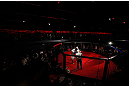 MONTREAL, CANADA - NOVEMBER 15:  ]Martin Kampmann works out for media and fans during an open training session ahead of UFC 154 at New City Gas on November 15, 2012 in Montreal, Quebec, Canada.  (Photo by Josh Hedges/Zuffa LLC/Zuffa LLC via Getty Images)