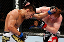 MONTREAL, QC - NOVEMBER 17:  Rafael dos Anjos (L) and Mark Bocek trade punches during their lightweight bout during UFC 154 on November 17, 2012  at the Bell Centre in Montreal, Canada.  (Photo by Josh Hedges/Zuffa LLC/Zuffa LLC via Getty Images)