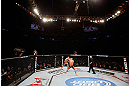 MONTREAL, QC - NOVEMBER 17:  Carlos Condit (L) fights against Georges St-Pierre in their welterweight title bout during UFC 154 on November 17, 2012  at the Bell Centre in Montreal, Canada.  (Photo by Josh Hedges/Zuffa LLC/Zuffa LLC via Getty Images)
