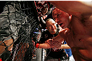 MONTREAL, QC - NOVEMBER 17:  Georges St-Pierre reacts after fighting against Carlos Condit in the welterweight title bout during UFC 154 on November 17, 2012  at the Bell Centre in Montreal, Canada.  (Photo by Josh Hedges/Zuffa LLC/Zuffa LLC via Getty Images)