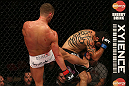 SEATTLE, WA - DECEMBER 08:  (L-R) Daron Cruickshank kicks Henry Martinez  during their lightweight bout at the UFC on FOX event on December 8, 2012  at Key Arena in Seattle, Washington.  (Photo by Ezra Shaw/Zuffa LLC/Zuffa LLC via Getty Images) *** Local Caption *** Daron Cruickshank; Henry Martinez