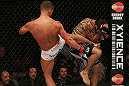 SEATTLE, WA - DECEMBER 08:  (L-R) Daron Cruickshank kicks Henry Martinez  during their lightweight bout at the UFC on FOX event on December 8, 2012  at Key Arena in Seattle, Washington.  (Photo by Ezra Shaw/Zuffa LLC/Zuffa LLC via Getty Images) *** Local Caption *** Daron Cruickshank; Henry Martinez