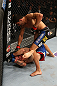 SEATTLE, WA - DECEMBER 08:  Ramsey Nijem (top) punches Joe Proctor (bottom) during their lightweight bout at the UFC on FOX event on December 8, 2012  at Key Arena in Seattle, Washington.  (Photo by Ezra Shaw/Zuffa LLC/Zuffa LLC via Getty Images) *** Local Caption *** Ramsey Nijem; Joe Proctor