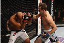 SEATTLE, WA - DECEMBER 08:  (R-L) Rory MacDonald punches BJ Penn during their welterweight bout at the UFC on FOX event on December 8, 2012  at Key Arena in Seattle, Washington.  (Photo by Ezra Shaw/Zuffa LLC/Zuffa LLC via Getty Images) *** Local Caption *** BJ Penn; Rory MacDonald