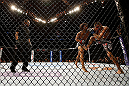 SEATTLE, WA - DECEMBER 08:  Referee Herb Dean (left) looks on at Benson Henderson punches Nate Diaz during their lightweight championship bout at the UFC on FOX event on December 8, 2012  at Key Arena in Seattle, Washington.  (Photo by Josh Hedges/Zuffa LLC/Zuffa LLC via Getty Images) *** Local Caption *** Benson Henderson; Nate Diaz