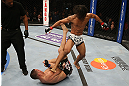 SEATTLE, WA - DECEMBER 08:  Benson Henderson (white shorts) kicks Nate Diaz (bottom) during their lightweight championship bout at the UFC on FOX event on December 8, 2012  at Key Arena in Seattle, Washington.  (Photo by Ezra Shaw/Zuffa LLC/Zuffa LLC via Getty Images) *** Local Caption *** Benson Henderson; Nate Diaz