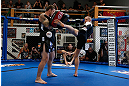 GOLD COAST, AUSTRALIA - DECEMBER 13:  Ross Pearson works out for the media during the UFC on FX open workouts on December 13, 2012 at Boonchu Gym in Gold Coast, Australia.  (Photo by Josh Hedges/Zuffa LLC/Zuffa LLC via Getty Images)