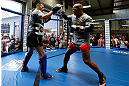 GOLD COAST, AUSTRALIA - DECEMBER 13:  Hector Lombard works out for the media during the UFC on FX open workouts on December 13, 2012 at Boonchu Gym in Gold Coast, Australia.  (Photo by Josh Hedges/Zuffa LLC/Zuffa LLC via Getty Images)