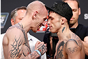 GOLD COAST, AUSTRALIA - DECEMBER 14:  (L-R) Opponents Colin Fletcher and Norman Parke face off during the UFC on FX weigh in on December 14, 2012 at Gold Coast Convention and Exhibition Centre in Gold Coast, Queensland, Australia.  (Photo by Josh Hedges/Zuffa LLC/Zuffa LLC via Getty Images)