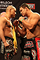 LAS VEGAS, NV - DECEMBER 14:  (L-R) Pat Barry and Shane Del Rosario face off during TUF 16 Finale weigh in on December 14, 2012  at the Joint at the Hard Rock in Las Vegas, Nevada.  (Photo by Jim Kemper/Zuffa LLC/Zuffa LLC via Getty Images)