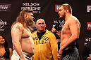 LAS VEGAS, NV - DECEMBER 14:  (L-R) Roy Nelson and Matt Mitrione face off while UFC President Dana White looks on during TUF 16 Finale weigh in on December 14, 2012  at the Joint at the Hard Rock in Las Vegas, Nevada.  (Photo by Jim Kemper/Zuffa LLC/Zuffa LLC via Getty Images)