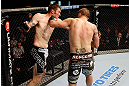 GOLD COAST, AUSTRALIA - DECEMBER 15:  (R-L) Cody Donovan punches Nick Penner during their light heavyweight fight at the UFC on FX event on December 15, 2012  at Gold Coast Convention and Exhibition Centre in Gold Coast, Australia.  (Photo by Josh Hedges/Zuffa LLC/Zuffa LLC via Getty Images)