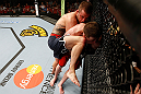 GOLD COAST, AUSTRALIA - DECEMBER 15:  (L-R) Mike Wilkinson knees Brendan Loughnane during their lightweight fight at the UFC on FX event on December 15, 2012  at Gold Coast Convention and Exhibition Centre in Gold Coast, Australia.  (Photo by Josh Hedges/Zuffa LLC/Zuffa LLC via Getty Images)