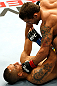 GOLD COAST, AUSTRALIA - DECEMBER 15:  (R-L) Chad Mendes knocks out Yaotzin Meza with punches during their featherweight fight at the UFC on FX event on December 15, 2012  at Gold Coast Convention and Exhibition Centre in Gold Coast, Australia.  (Photo by Josh Hedges/Zuffa LLC/Zuffa LLC via Getty Images)