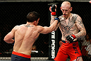 GOLD COAST, AUSTRALIA - DECEMBER 15:  (L-R) Norman Parke punches Colin Fletcher during their lightweight fight at the UFC on FX event on December 15, 2012  at Gold Coast Convention and Exhibition Centre in Gold Coast, Australia.  (Photo by Josh Hedges/Zuffa LLC/Zuffa LLC via Getty Images)