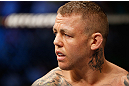 GOLD COAST, AUSTRALIA - DECEMBER 15:  Ross Pearson stands in the Octagon before his lightweight fight against George Sotiropoulos at the UFC on FX event on December 15, 2012  at Gold Coast Convention and Exhibition Centre in Gold Coast, Australia.  (Photo by Josh Hedges/Zuffa LLC/Zuffa LLC via Getty Images)