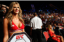 GOLD COAST, AUSTRALIA - DECEMBER 15:  UFC Octagon Girl Kristie McKeon prepares to introduce a round during the UFC on FX event on December 15, 2012  at Gold Coast Convention and Exhibition Centre in Gold Coast, Australia.  (Photo by Josh Hedges/Zuffa LLC/Zuffa LLC via Getty Images)