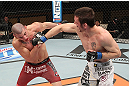 LAS VEGAS, NV - DECEMBER 15:  (R-L) Timothy Elliott punches Jared Papazian during their flyweight fight at the TUF 16 Finale on December 15, 2012  at the Joint at the Hard Rock in Las Vegas, Nevada.  (Photo by Jim Kemper/Zuffa LLC/Zuffa LLC via Getty Images) *** Local Caption ***Jared Papazian; Timothy Elliott