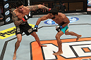 LAS VEGAS, NV - DECEMBER 15:  (R-L) Hugo Viana punches Reuben Duran during their bantamweight fight at the TUF 16 Finale on December 15, 2012  at the Joint at the Hard Rock in Las Vegas, Nevada.  (Photo by Jim Kemper/Zuffa LLC/Zuffa LLC via Getty Images) *** Local Caption *** Hugo Viana; Reuben Duran