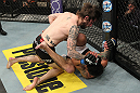 LAS VEGAS, NV - DECEMBER 15:  (L-R) Johnny Bedford punches Marcos Vinicius during their bantamweight fight at the TUF 16 Finale on December 15, 2012  at the Joint at the Hard Rock in Las Vegas, Nevada.  (Photo by Jim Kemper/Zuffa LLC/Zuffa LLC via Getty Images) *** Local Caption *** Johny Bedford; Marcos Vinicius