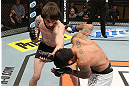 LAS VEGAS, NV - DECEMBER 15:  (L-R) Johnny Bedford punches Marcos Vinicius during their bantamweight fight at the TUF 16 Finale on December 15, 2012  at the Joint at the Hard Rock in Las Vegas, Nevada.  (Photo by Jim Kemper/Zuffa LLC/Zuffa LLC via Getty Images) *** Local Caption *** Johny Bedford; Marcos Vinicius