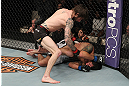LAS VEGAS, NV - DECEMBER 15:  (L-R) Johnny Bedford punches Marcos Vinicius during their bantamweight fight at the TUF 16 Finale on December 15, 2012  at the Joint at the Hard Rock in Las Vegas, Nevada.  (Photo by Jim Kemper/Zuffa LLC/Zuffa LLC via Getty Images) *** Local Caption *** Johny Bedford; Marcos Vinicius