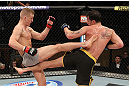 LAS VEGAS, NV - DECEMBER 15:  (L-R) Colton Smith and Mike Ricci exchange kicks during their lightweight fight at the TUF 16 Finale on December 15, 2012  at the Joint at the Hard Rock in Las Vegas, Nevada.  (Photo by Jim Kemper/Zuffa LLC/Zuffa LLC via Getty Images) *** Local Caption *** Colton Smith; Mike Ricci