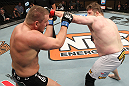 LAS VEGAS, NV - DECEMBER 15:  (R-L) Roy Nelson punches Matt Mitrione during their heavyweight fight at the TUF 16 Finale on December 15, 2012  at the Joint at the Hard Rock in Las Vegas, Nevada.  (Photo by Jim Kemper/Zuffa LLC/Zuffa LLC via Getty Images) *** Local Caption *** Roy Nelson; Matt Mitrione