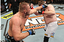 LAS VEGAS, NV - DECEMBER 15:  (L-R) Matt Mitrione punches Roy Nelson during their heavyweight fight at the TUF 16 Finale on December 15, 2012  at the Joint at the Hard Rock in Las Vegas, Nevada.  (Photo by Jim Kemper/Zuffa LLC/Zuffa LLC via Getty Images) *** Local Caption *** Roy Nelson; Matt Mitrione