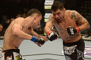 LAS VEGAS, NV - DECEMBER 29:  (L-R) Leonard Garcia punches Max Holloway during their featherweight fight at UFC 155 on December 29, 2012 at MGM Grand Garden Arena in Las Vegas, Nevada. (Photo by Donald Miralle/Zuffa LLC/Zuffa LLC via Getty Images) *** Local Caption *** Leonard Garcia; Max Holloway