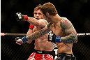 LAS VEGAS, NV - DECEMBER 29:  (R-L) Eddie Wineland and Brad Pickett exchange punches during their bantamweight fight at UFC 155 on December 29, 2012 at MGM Grand Garden Arena in Las Vegas, Nevada. (Photo by Josh Hedges/Zuffa LLC/Zuffa LLC via Getty Images) *** Local Caption *** Brad Pickett; Eddie Wineland