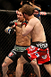 LAS VEGAS, NV - DECEMBER 29:  Brad Pickett (red shorts) punches Eddie Wineland during their bantamweight fight at UFC 155 on December 29, 2012 at MGM Grand Garden Arena in Las Vegas, Nevada. (Photo by Josh Hedges/Zuffa LLC/Zuffa LLC via Getty Images) *** Local Caption *** Brad Pickett; Eddie Wineland