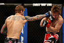 LAS VEGAS, NV - DECEMBER 29:  (L-R) Eddie Wineland punches Brad Pickett during their bantamweight fight at UFC 155 on December 29, 2012 at MGM Grand Garden Arena in Las Vegas, Nevada. (Photo by Josh Hedges/Zuffa LLC/Zuffa LLC via Getty Images) *** Local Caption *** Brad Pickett; Eddie Wineland