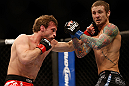 LAS VEGAS, NV - DECEMBER 29:  (L-R) Brad Pickett punches Eddie Wineland during their bantamweight fight at UFC 155 on December 29, 2012 at MGM Grand Garden Arena in Las Vegas, Nevada. (Photo by Josh Hedges/Zuffa LLC/Zuffa LLC via Getty Images) *** Local Caption *** Brad Pickett; Eddie Wineland