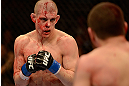 LAS VEGAS, NV - DECEMBER 29:  (L-R) Joe Lauzon and Jim Miller face off during their lightweight fight at UFC 155 on December 29, 2012 at MGM Grand Garden Arena in Las Vegas, Nevada. (Photo by Donald Miralle/Zuffa LLC/Zuffa LLC via Getty Images) *** Local Caption *** Joe Lauzon; Jim Miller