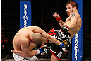 LAS VEGAS, NV - DECEMBER 29:  (R-L) Jim Miller kicks Joe Lauzon during their lightweight fight at UFC 155 on December 29, 2012 at MGM Grand Garden Arena in Las Vegas, Nevada. (Photo by Josh Hedges/Zuffa LLC/Zuffa LLC via Getty Images) *** Local Caption *** Joe Lauzon; Jim Miller